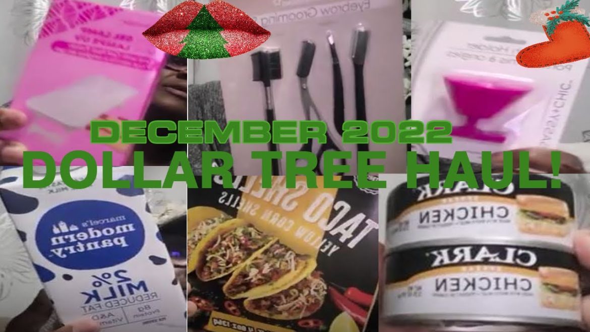 WHAT'S NEW AT DOLLAR 🌳 TREE?  THE BEST STOCKING STUFFERS AND NEW PREPS