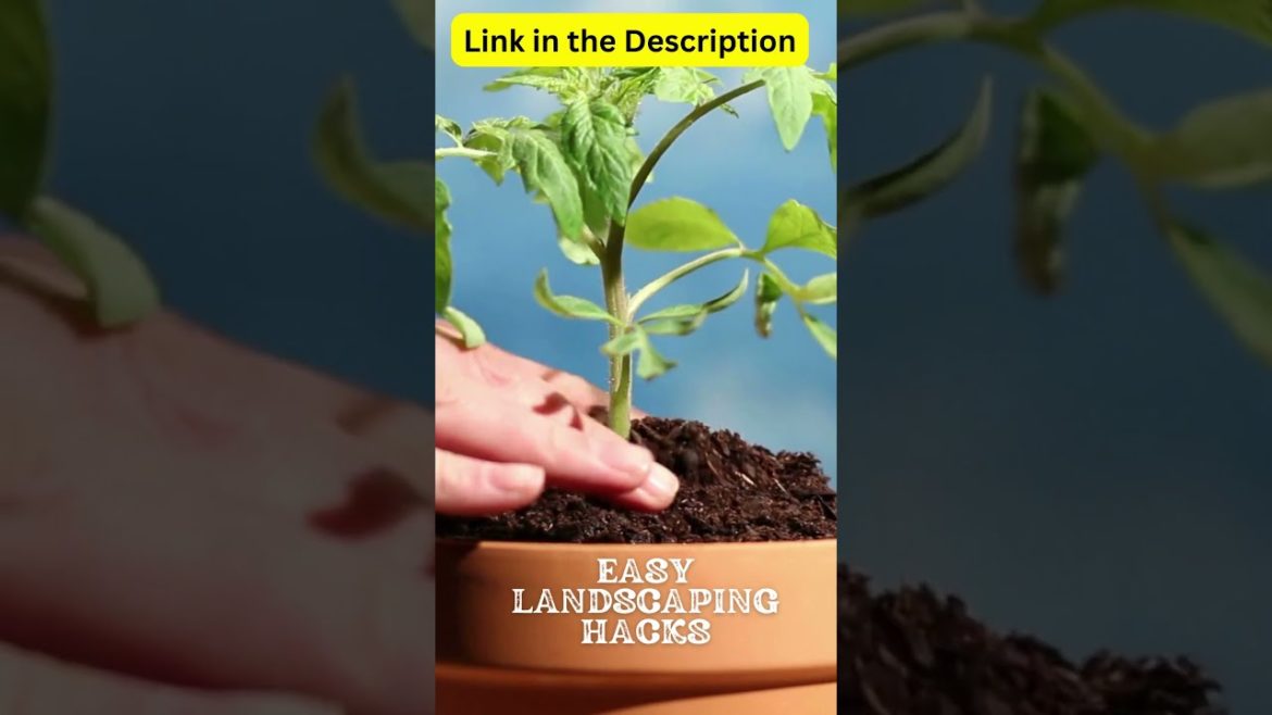 Easy landscaping Hacks