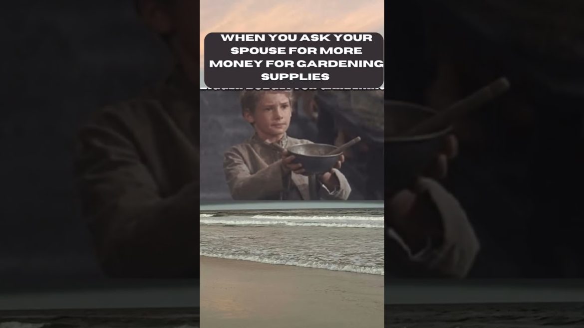 🙏 please may I buy some more gardening supplies ma'am
