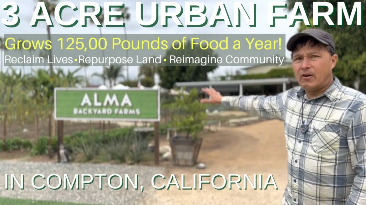 3 Acre Urban Farm in LA Grows 125,000 Pounds of Food a Year