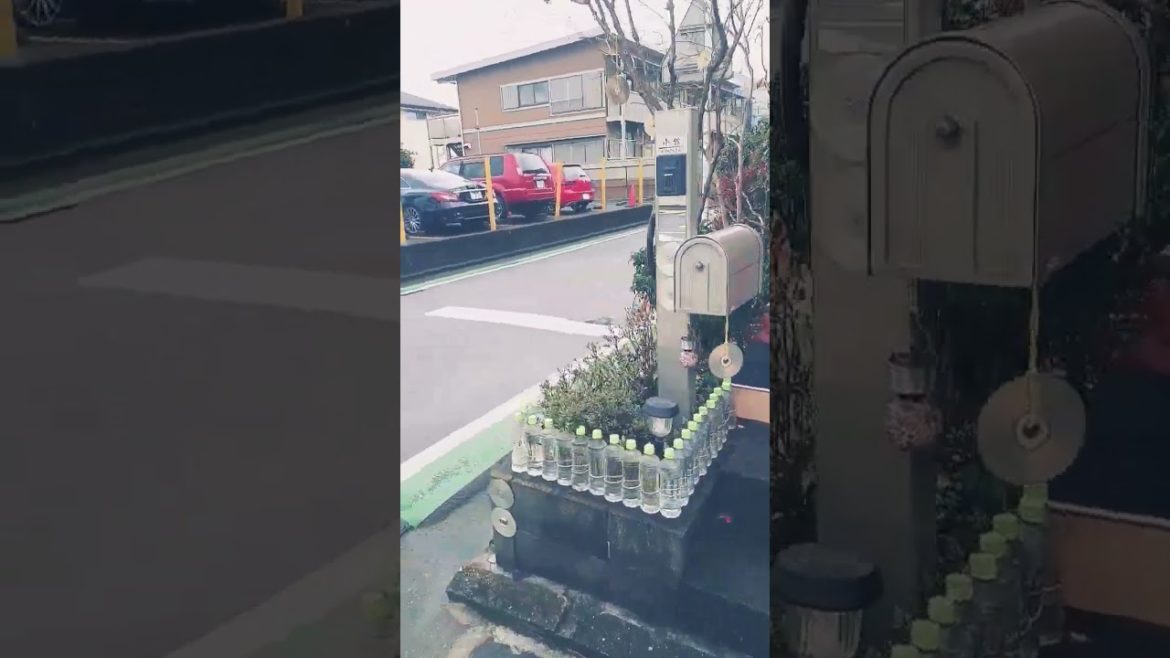 Do Japanese pet bottles scare cats in Japan?