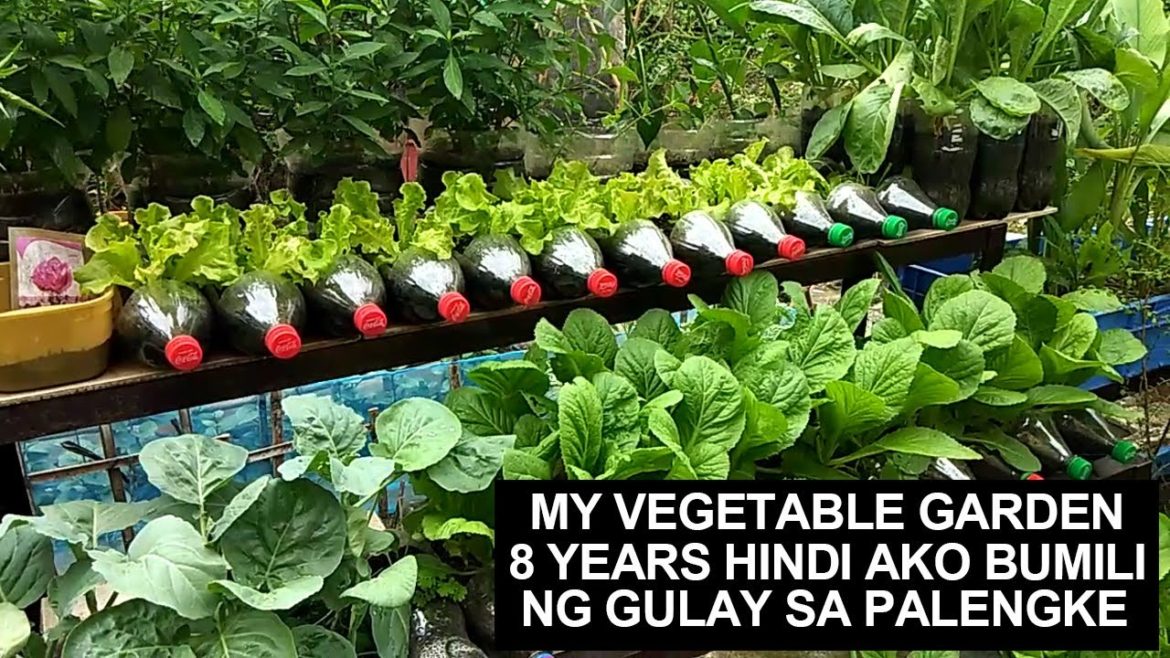 8 YEARS NA HINDI AKO BUMILI NG GULAY SA PALENGKE DAHIL SA AKING HOME VEGETABLE GARDEN
