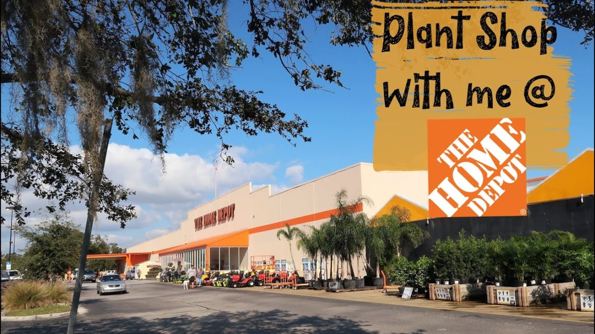 Home Depot Window Shopping for Plants – Shop With Me Home Depot Window Shopping for Plants - Shop With Me