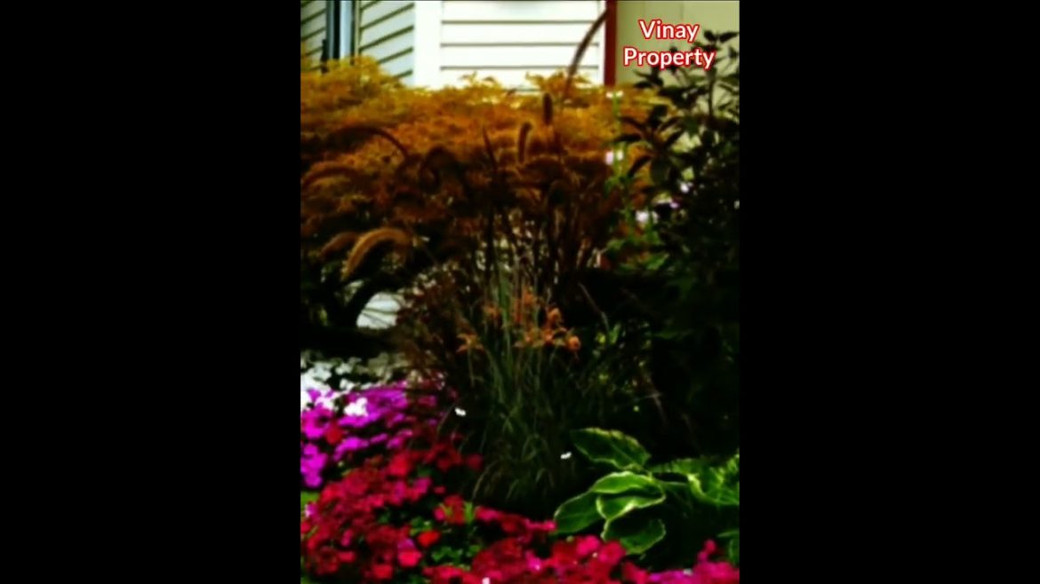 House Garden | Modern House and Garden No. - 01