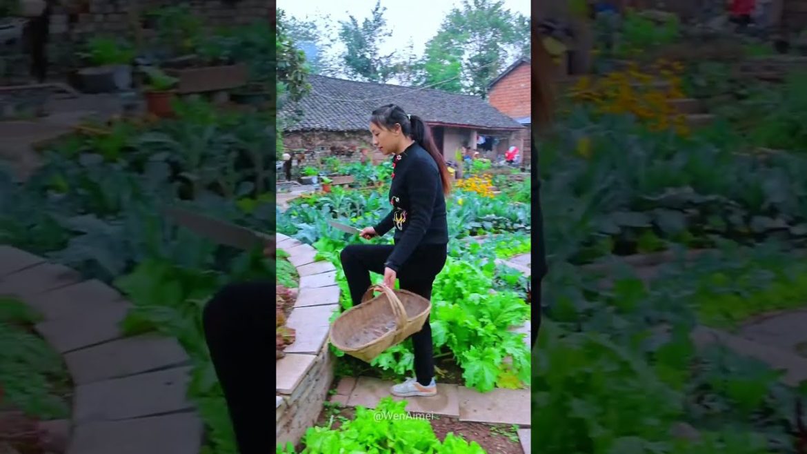 Beautiful Nature with Rural Life #shorts #naturalife #rurallife