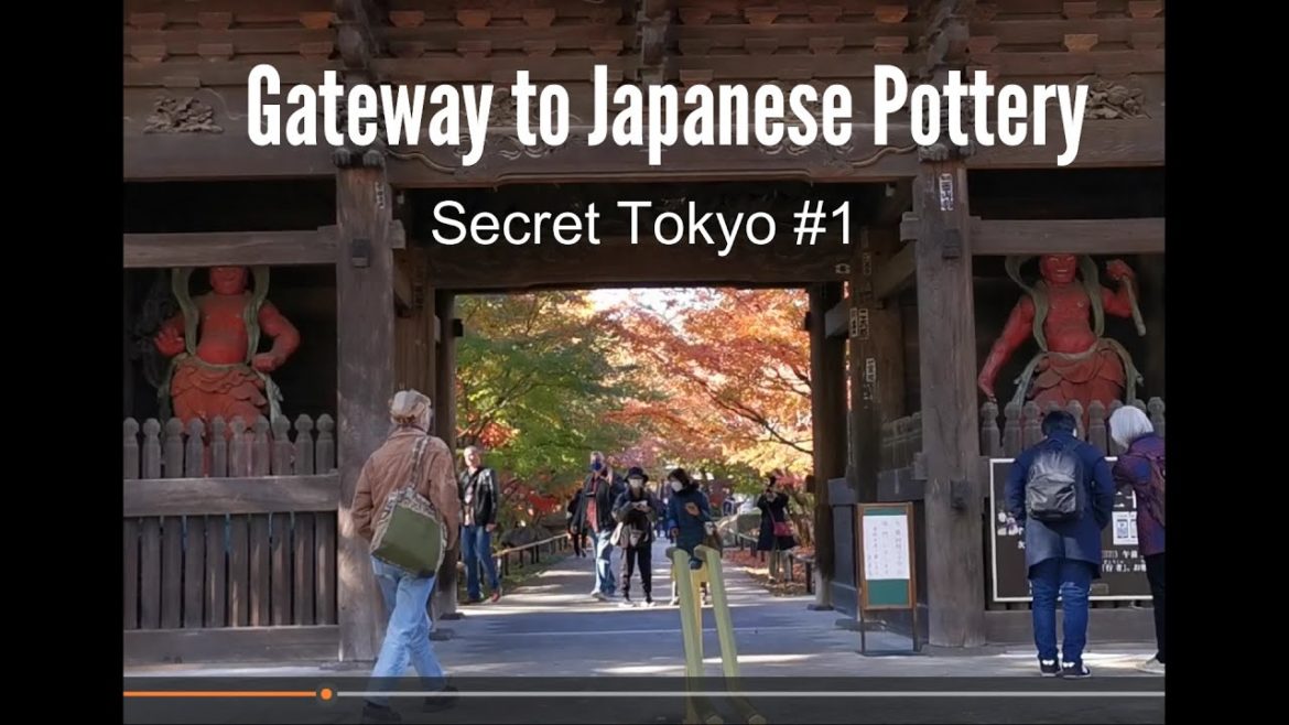 Japanese temple / Japanese garden / Temple in Tokyo / Joshinji Temple / Tokyo trip / Secret Tokyo Japanese temple / Japanese garden / Temple in Tokyo / Joshinji Temple / Tokyo trip / Secret Tokyo