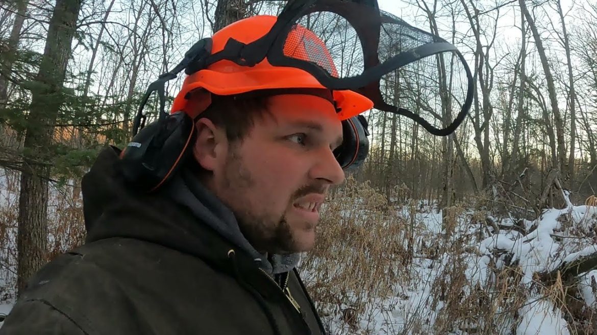 Cutting Firewood on our Small Dairy Farm