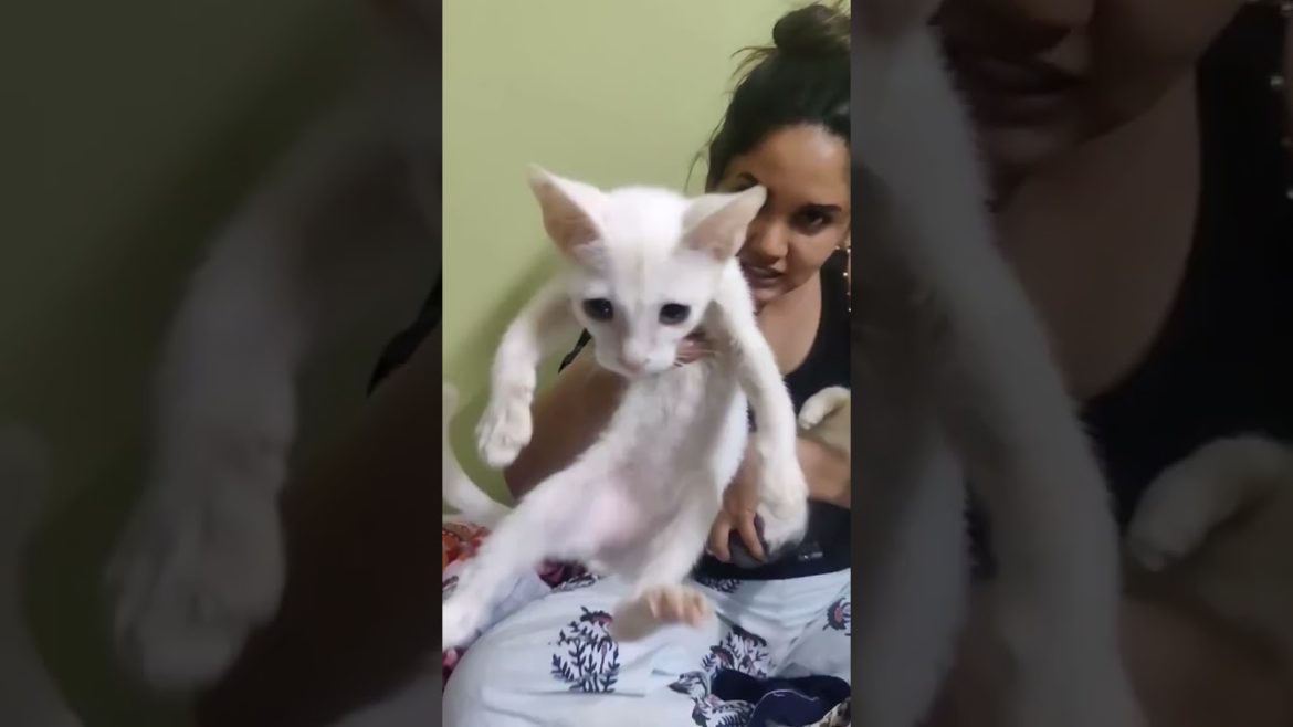 10 daysla வரேன்மா குட்டி ~ shooting time