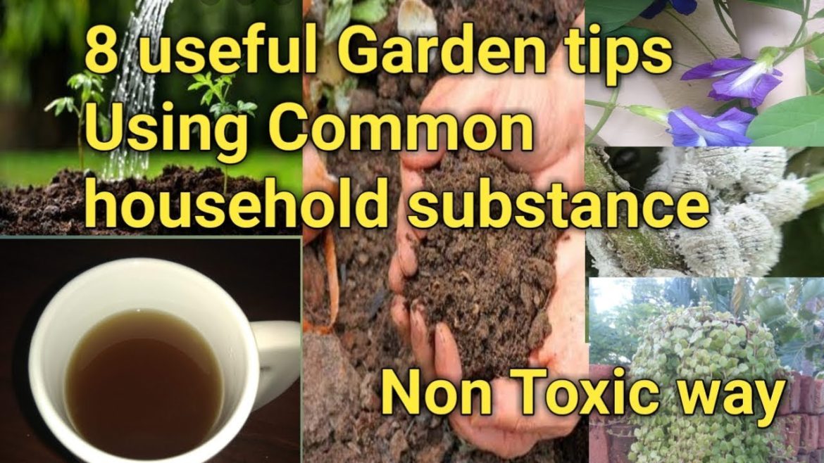 8 useful Garden tips || Using Common household substance || Non Toxic way