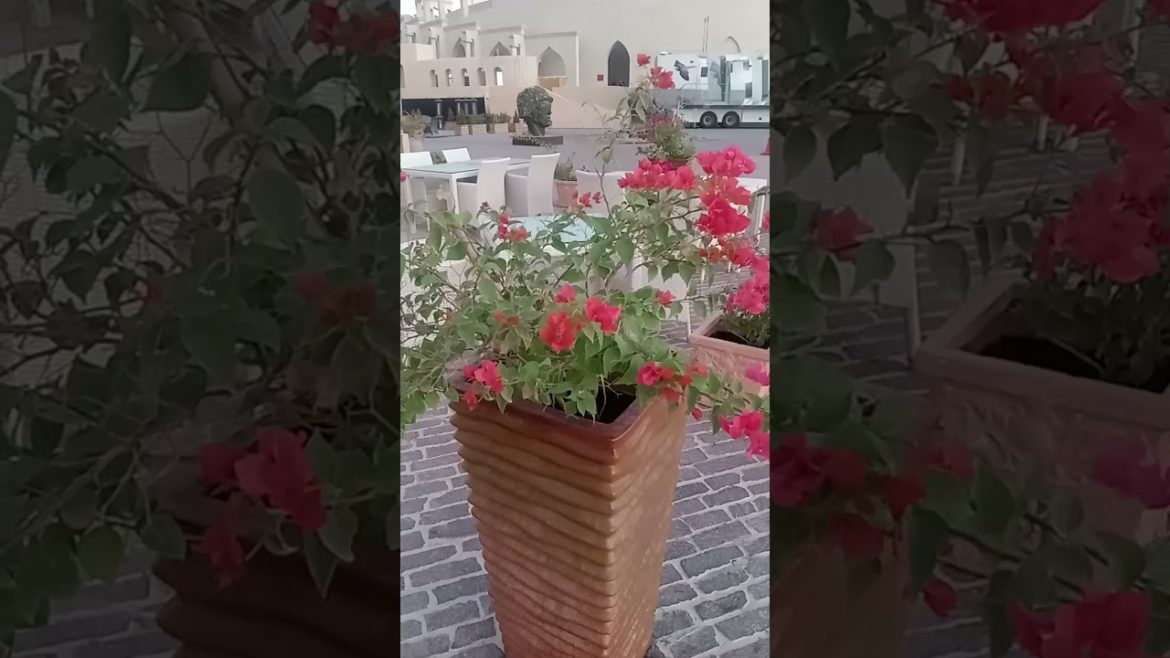 small garden ideas in front of house.small garden design.small garden design in home