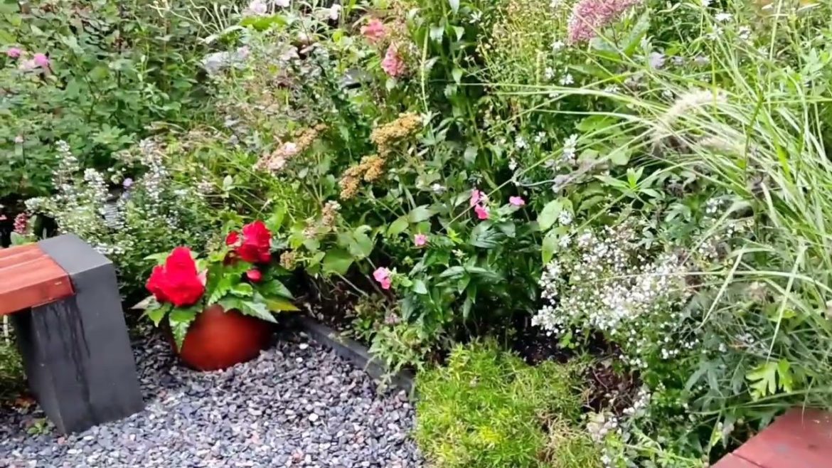 Oriental pottery @Orientalbackyardgarden #garden#art