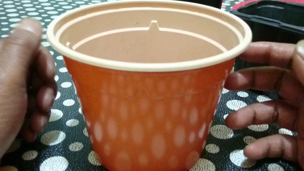 Shoker Bagan Oxford - UK Bangladeshi vegetables garden -Tips for cleaning a pots and garden tools