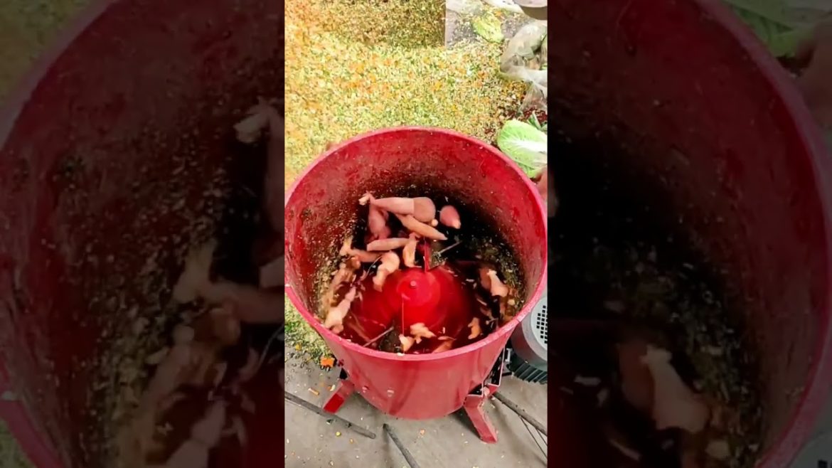 Fruit and vegetable grinder