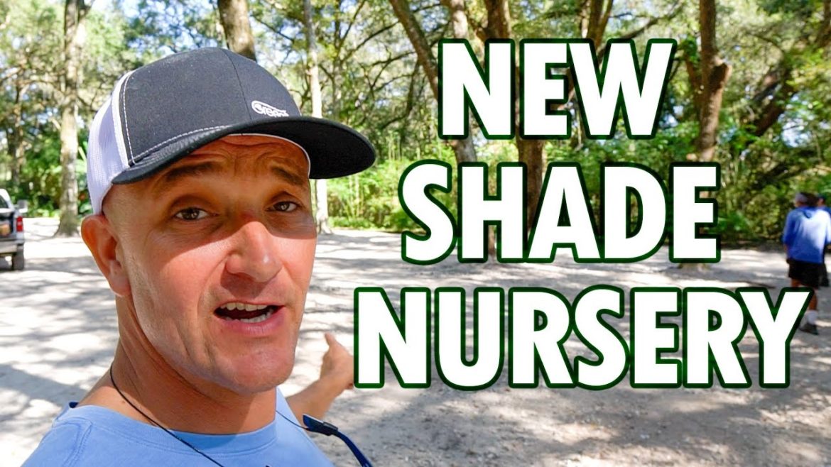 We Added More Nursery Space For Jaboticabas @ Sandhill Farm! We Added More Nursery Space For Jaboticabas @ Sandhill Farm!