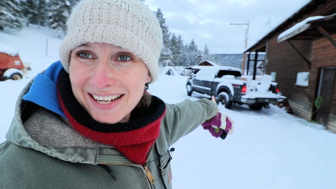 Q&A, Winter Wonderland and Biscuits and Gravy on a Wood Cookstove