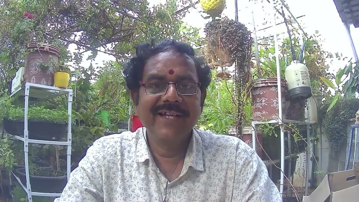 LIve QA On Terrace Gardening LIve QA On Terrace Gardening