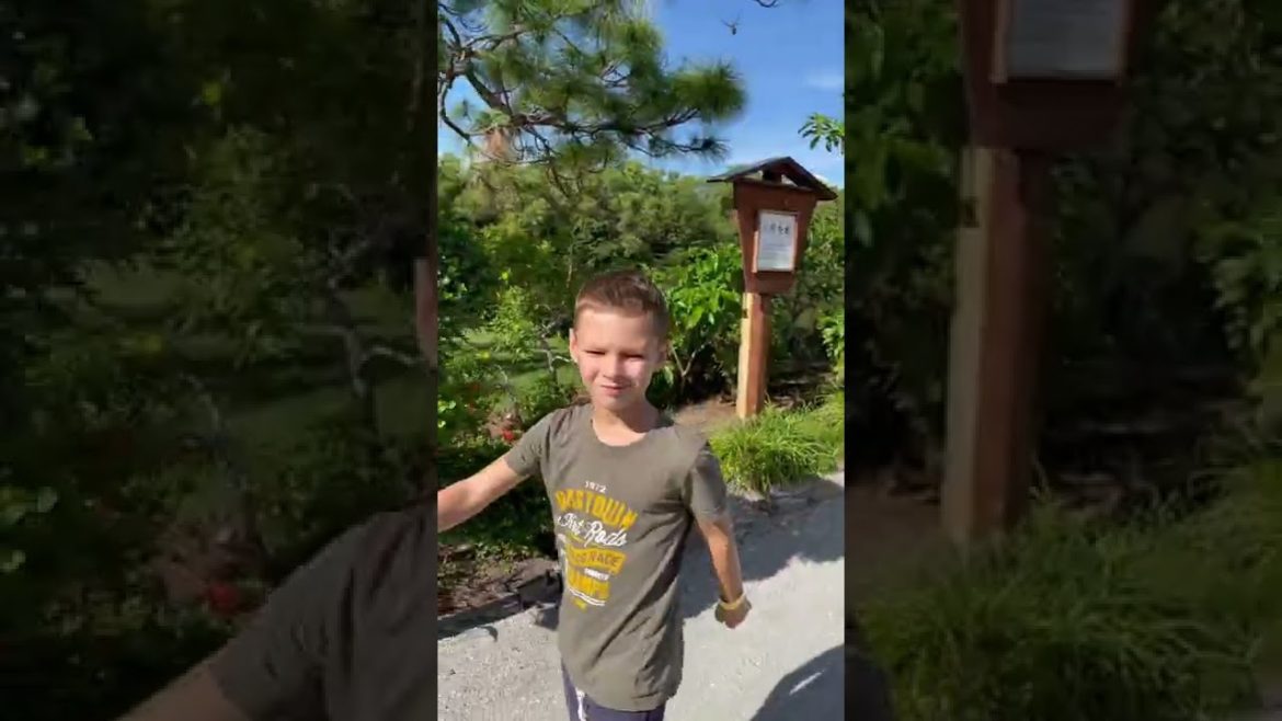 Family walking at Morikami Museum and Japanese Gardens Florida