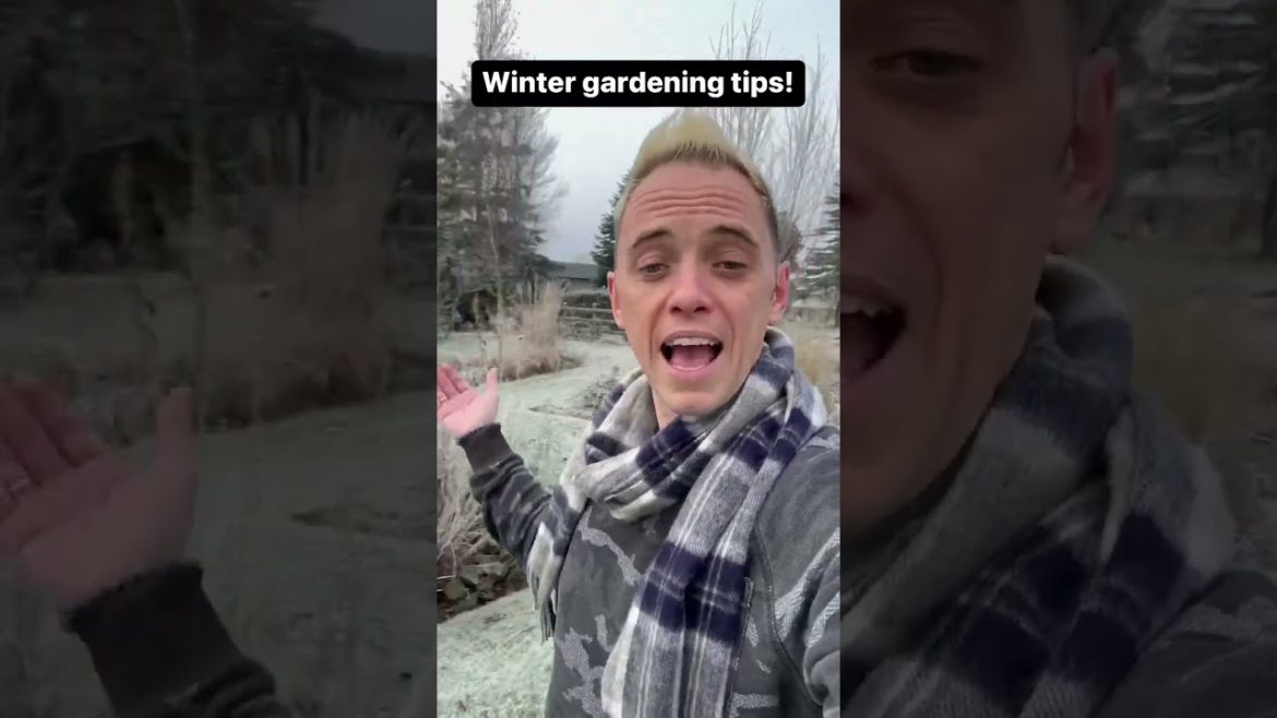 Lazy gardening tips for wildlife! #gardening