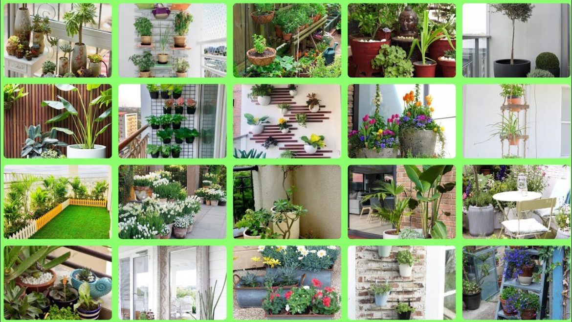 space saving pot garden ideas for apartments//balcony container garden designs//#decorlife #garden space saving pot garden ideas for apartments//balcony container garden designs//#decorlife #garden