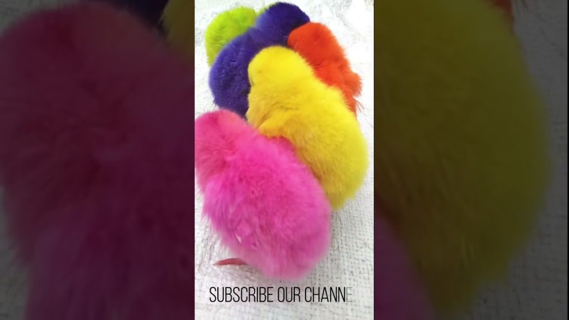 Many Cute Baby Chicken - Cute Colored Chicken - Colored Baby Chicks #shorts