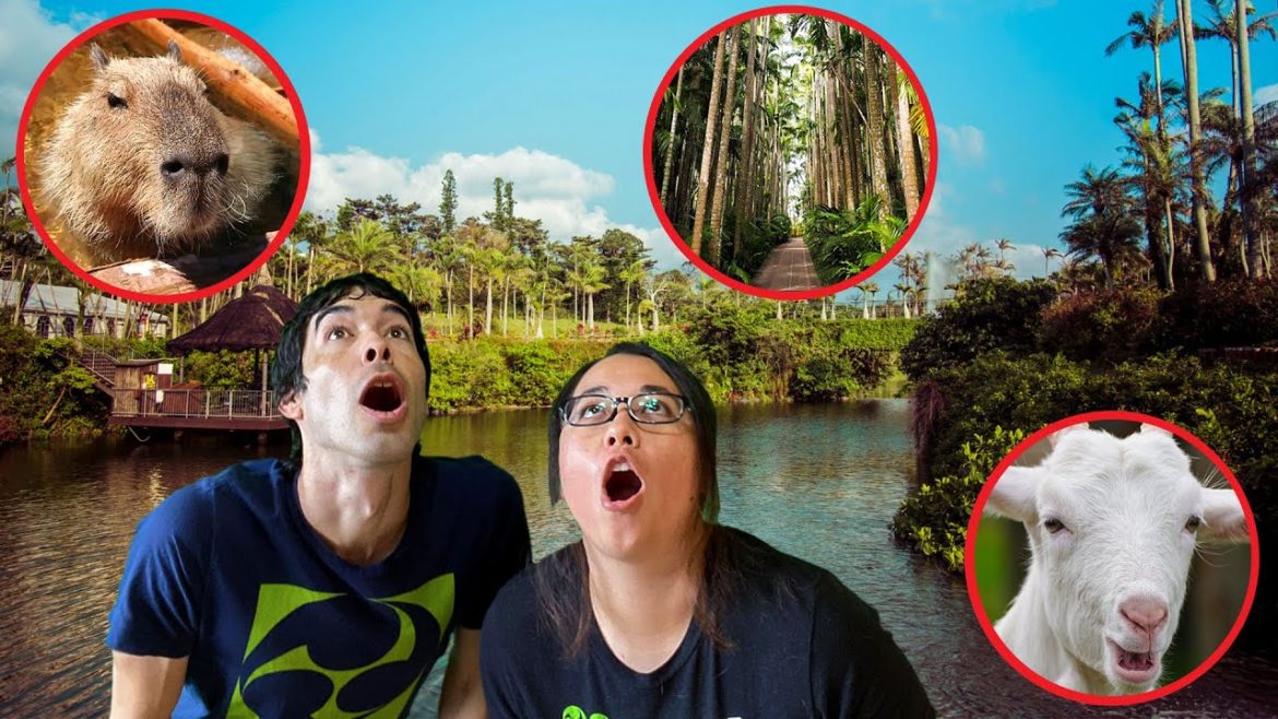 Hug Some Goats and Pet Some Trees at the South East Botanical Gardens in Okinawa