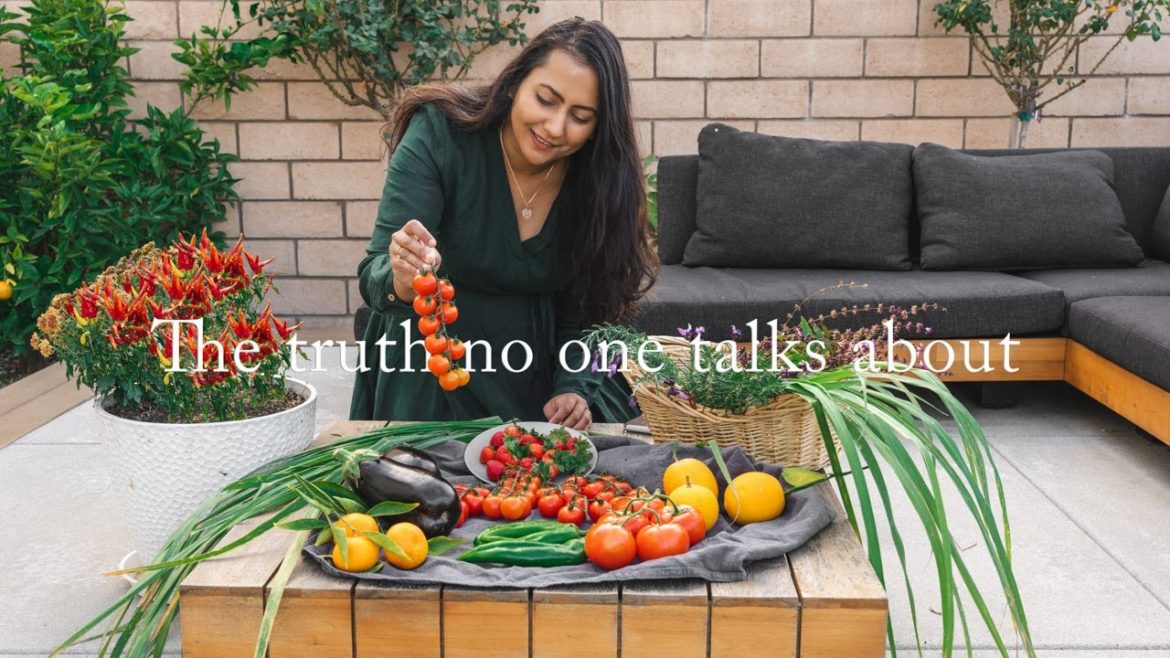 Saving Money By Growing Vegetables In My Backyard Cottage Garden | Beginner Gardening 2023 Saving Money By Growing Vegetables In My Backyard Cottage Garden | Beginner Gardening 2023