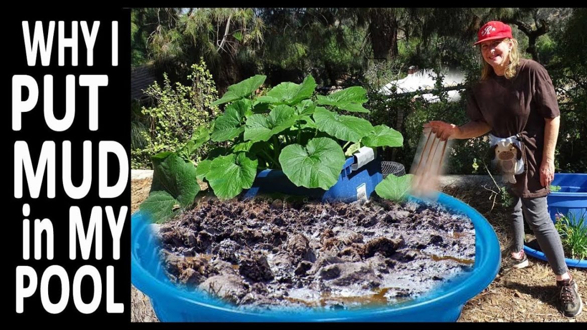 Growing in Kiddie pools Vegetables Composting in Place Container Gardening Making Compost Tea Growing in Kiddie pools Vegetables Composting in Place Container Gardening Making Compost Tea