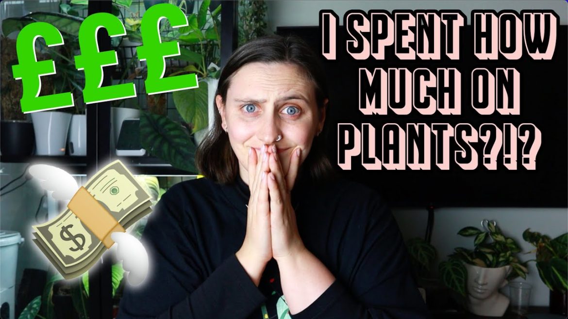 How Much I Spent on Houseplants in 2022 🪴💸 Plantmas Day 9 How Much I Spent on Houseplants in 2022 🪴💸 Plantmas Day 9
