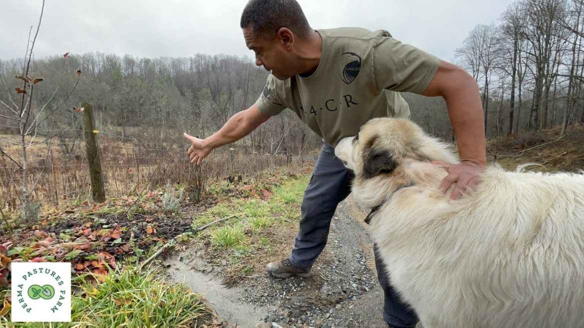 Managing High Rainfall Events on the Farm! Managing High Rainfall Events on the Farm!