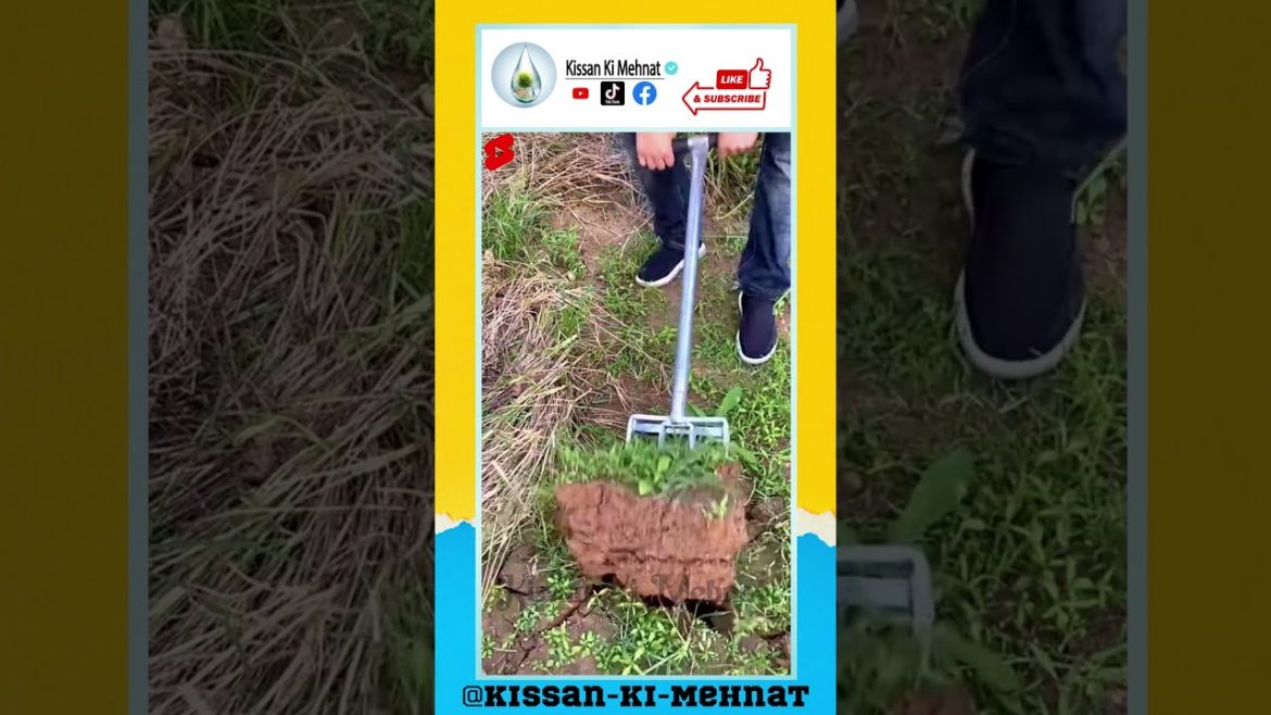 Tine Heavy Duty Pitch Fork for Gardening – Long Handled Digging Fork Garden Claw Weeder Tine Heavy Duty Pitch Fork for Gardening - Long Handled Digging Fork Garden Claw Weeder