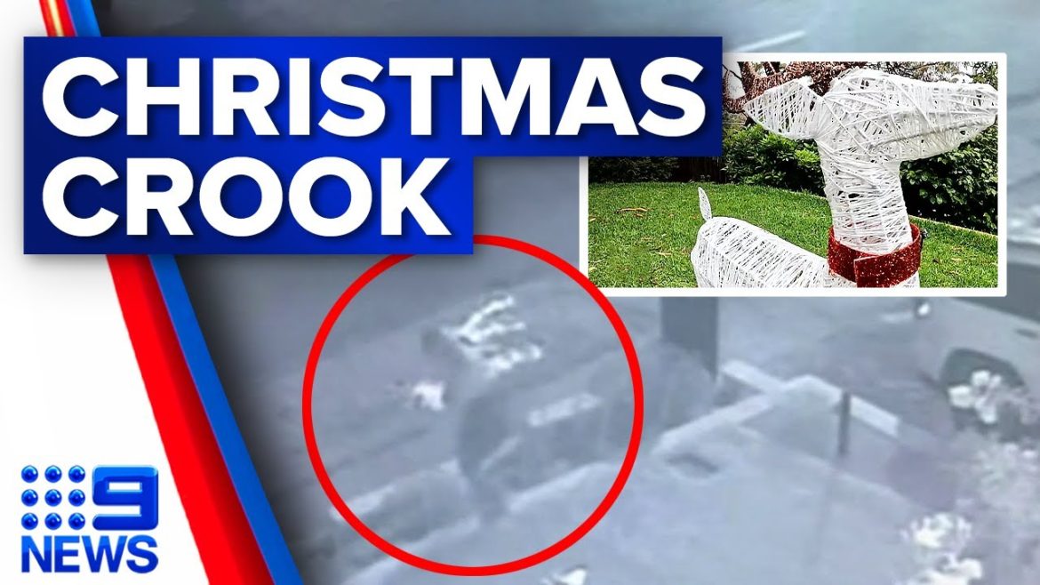 Woman caught on camera stealing family’s Christmas ornament | 9 News Australia