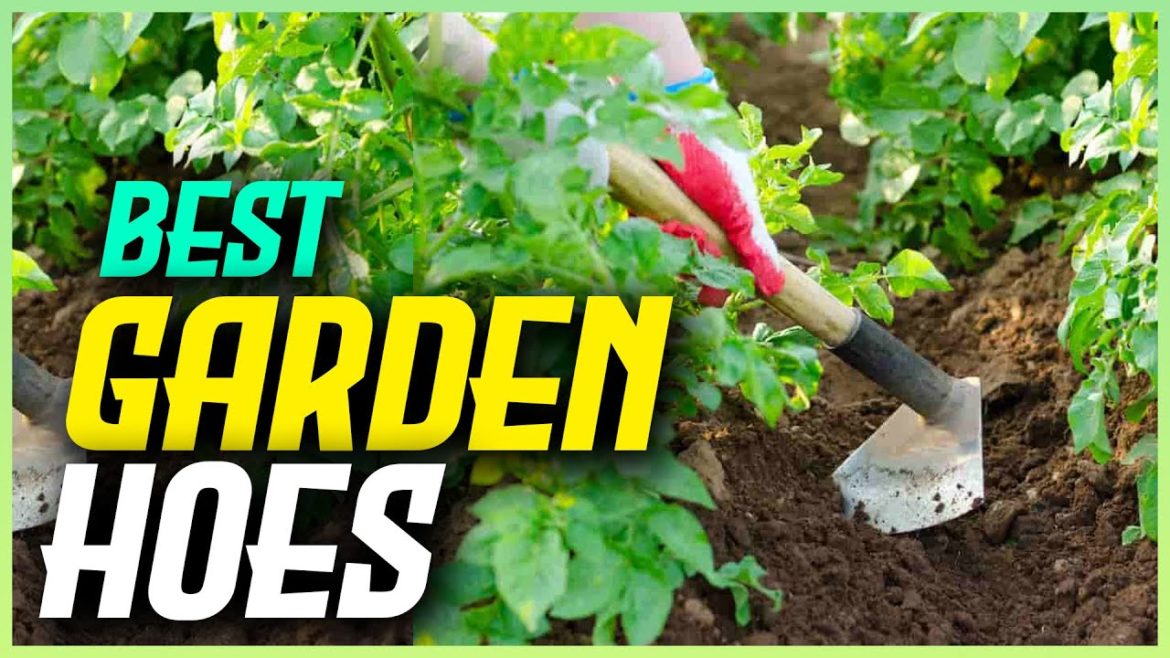 5 Best Garden Hoes of 2022 – The BEST Garden Hoe for Every Type of Gardener 5 Best Garden Hoes of 2022 - The BEST Garden Hoe for Every Type of Gardener