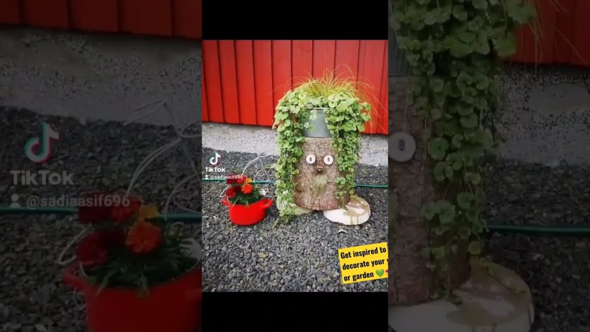 Get inspired to decorate your yard or garden 💚😍