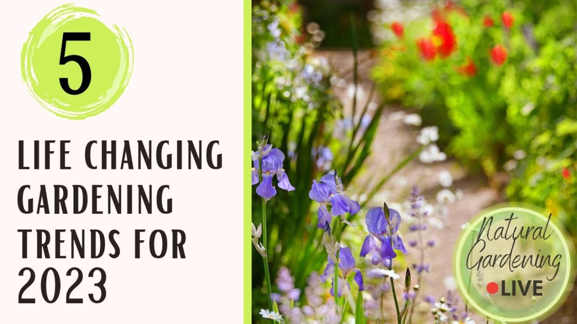 5 trends which will change the way you garden in 2023!