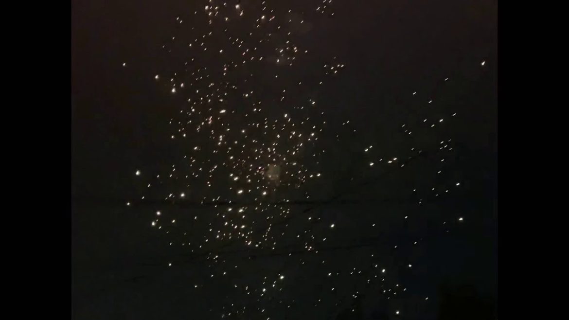 backyard garden lights