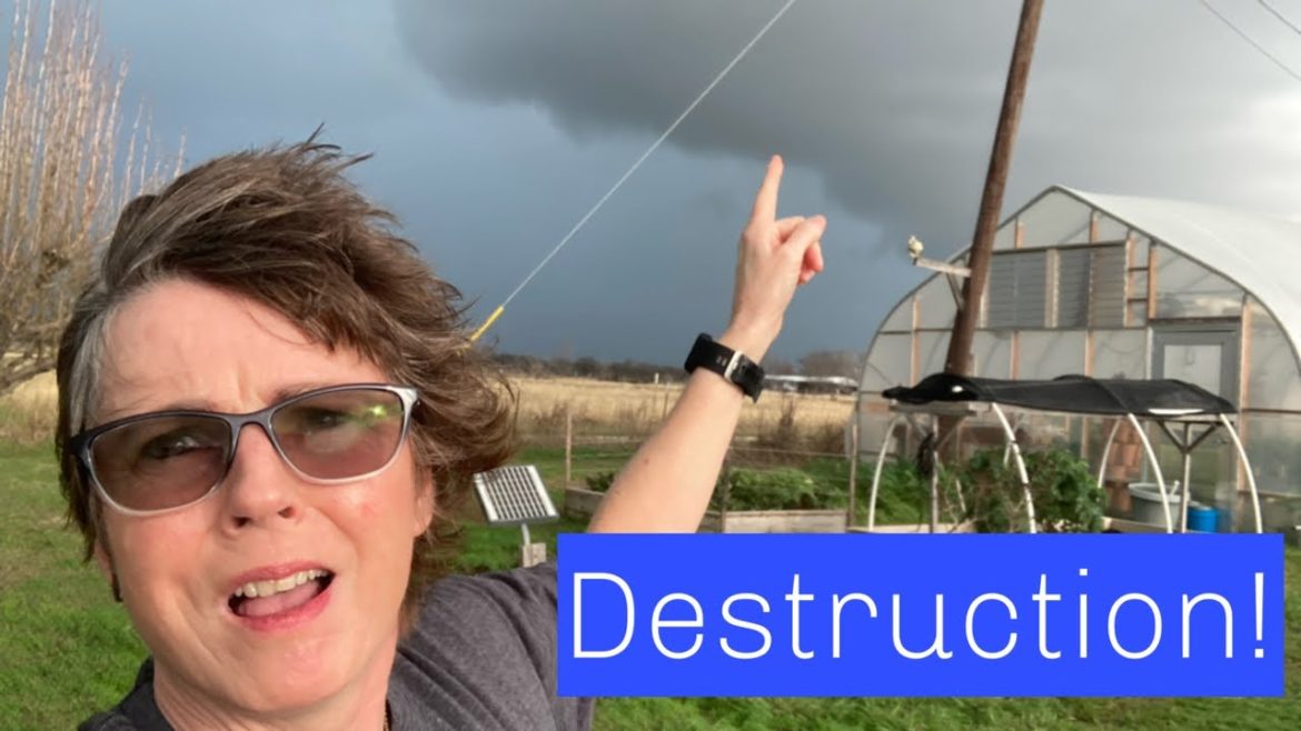 Multiple TORNADOES! DFW! Filming Inside High Tunnel During Storm! Multiple TORNADOES! DFW! Filming Inside High Tunnel During Storm!