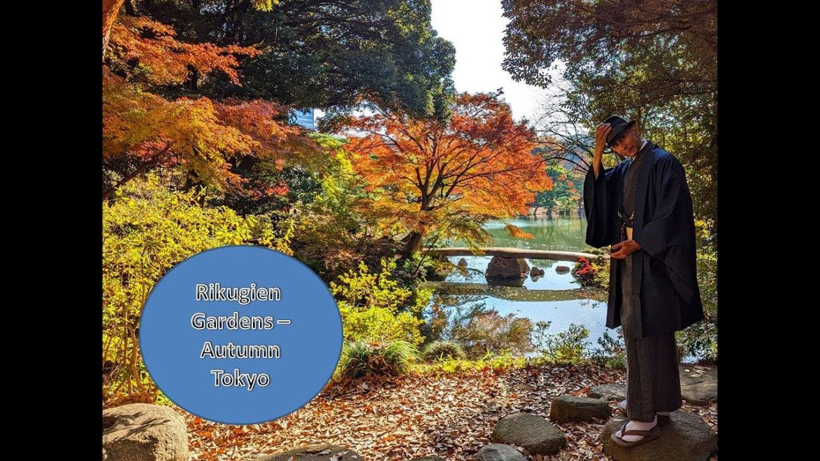 The autumn leaves of Rikugien Gardens Tokyo 六義園 The autumn leaves of Rikugien Gardens Tokyo 六義園