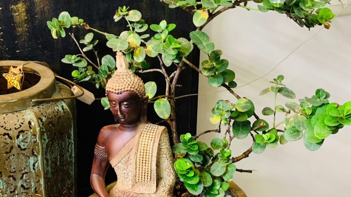 Mini indoor zen Buddha garden ideas Mini indoor zen Buddha garden ideas