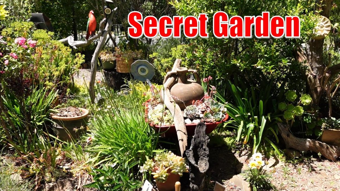 SECRETS from My Secret Succulent Garden | VLOG #162 Succulents & Coffee with Liz