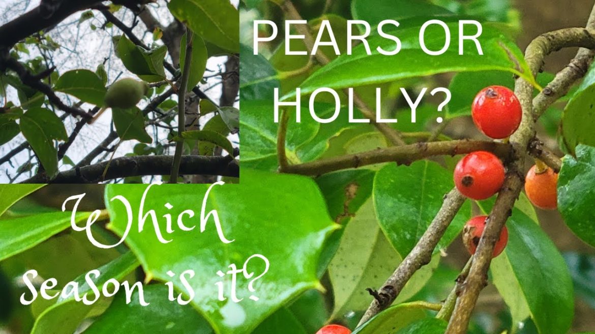 Nature is Confused Nature is Confused