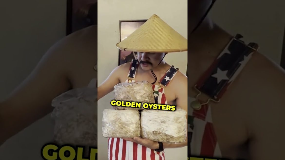 Top Tips for Planting Mushrooms in 2022 #Shorts #gardening #mushroom