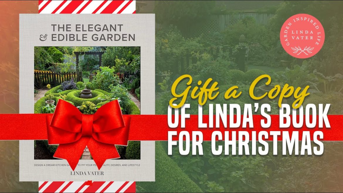 Gift Linda's Book This Holiday Season Gift Linda's Book This Holiday Season