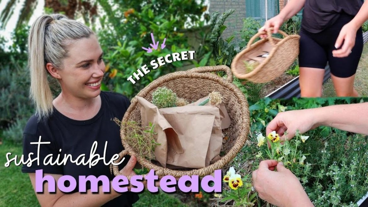 Saving Seeds for future food and creating a self-sufficient homestead Saving Seeds for future food and creating a self-sufficient homestead
