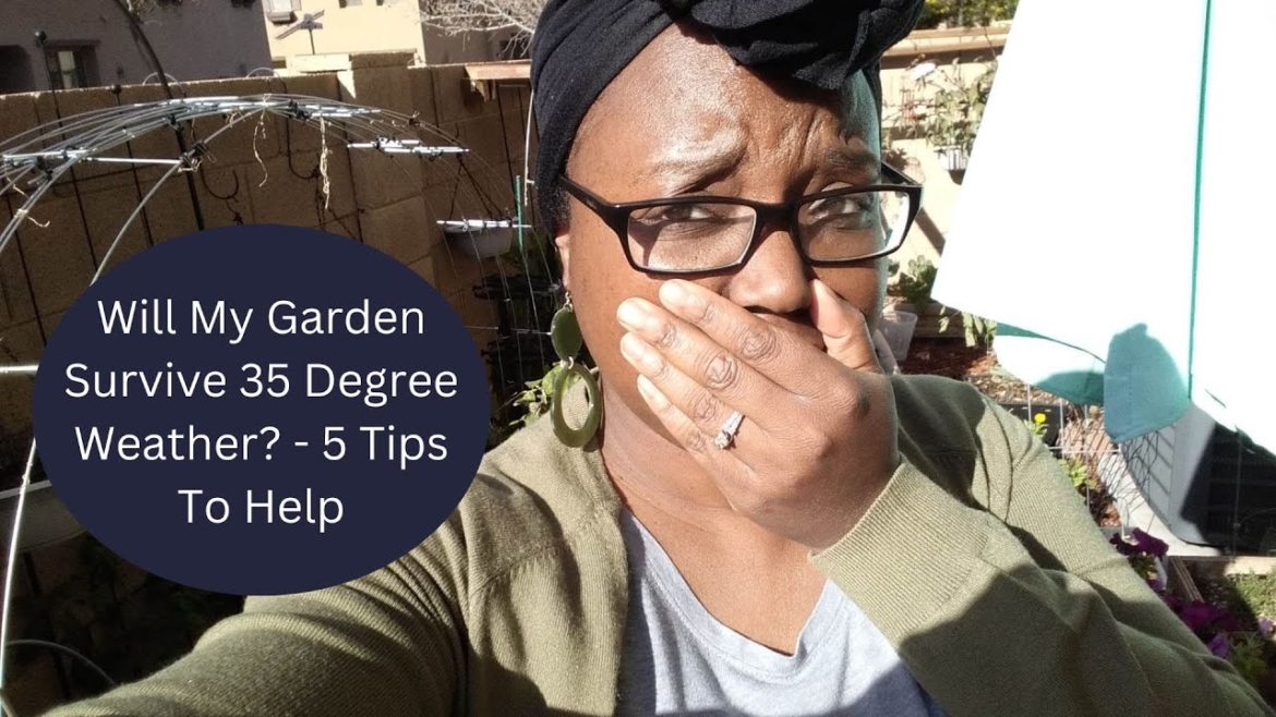 Will My Garden Survive 35 Degree Weather? - 5 Tips To Help- Vlognukkah Day 13