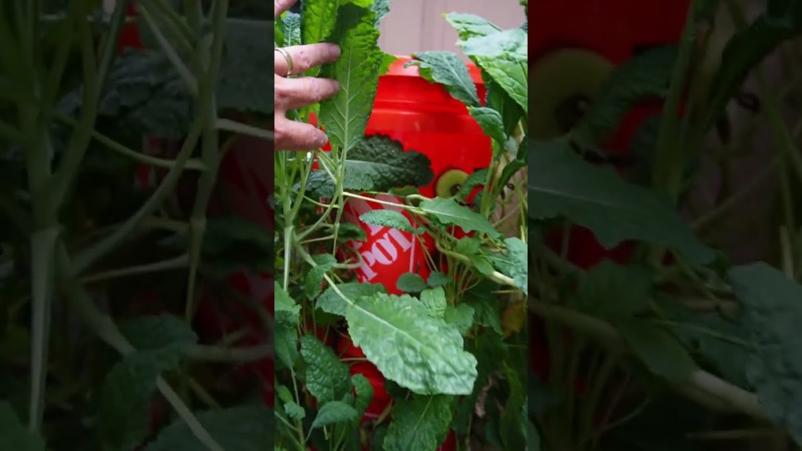 Build Your Own Garden Tower