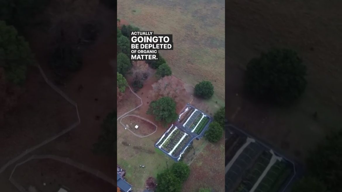 Till vs no till farming #notillvstillgarden #notillvstillfarming #shorts