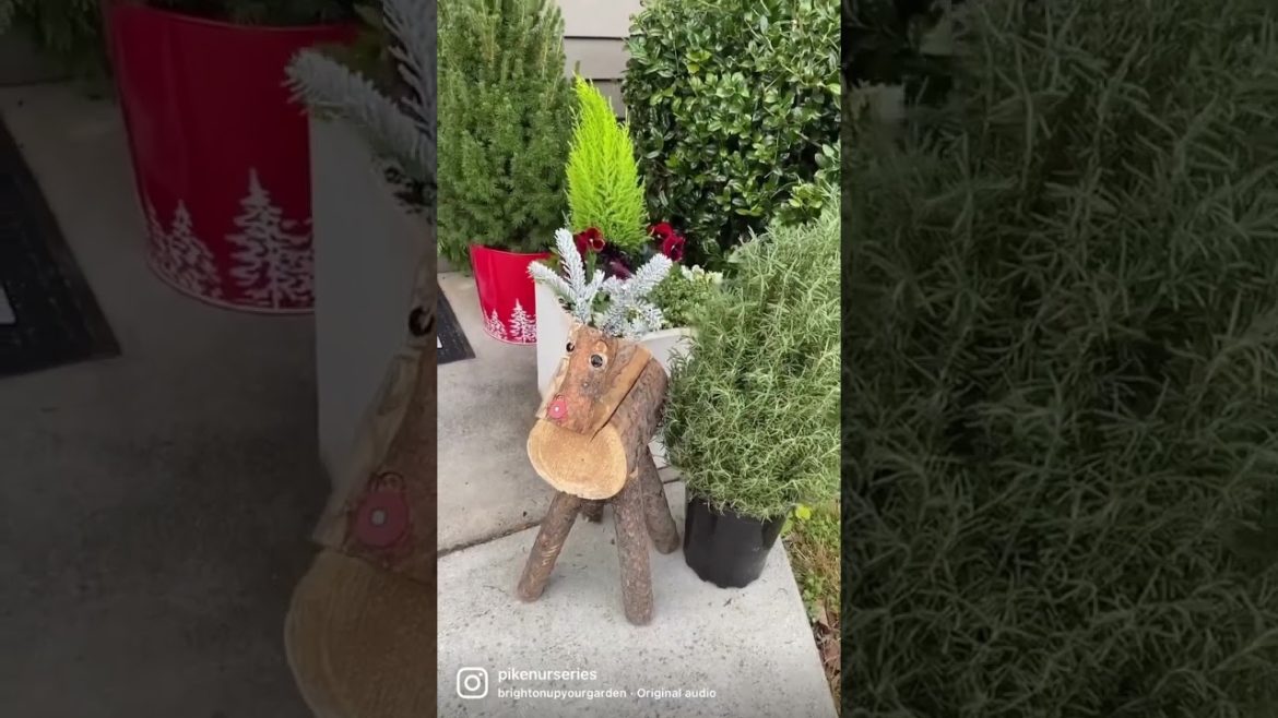 Front Door Christmas Transformation