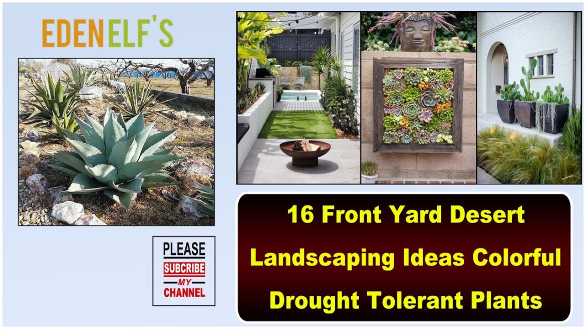 Drought Tolerant Garden Design | 16 Front Yard Desert Landscaping Ideas