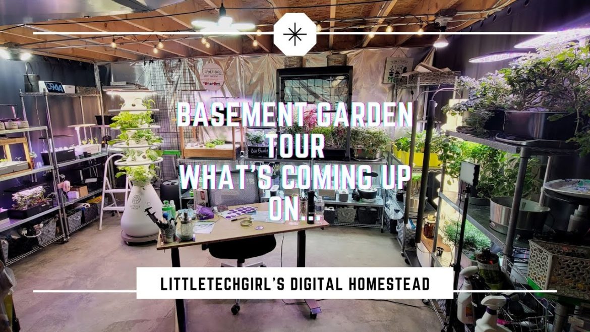 Indoor Hydroponic Basement Garden Tour | New Additions and What's Coming Up Indoor Hydroponic Basement Garden Tour | New Additions and What's Coming Up