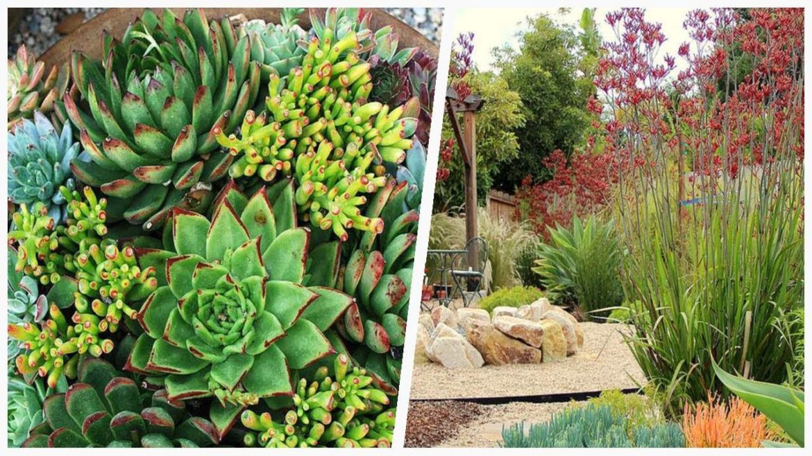 75 Beautiful Backyard And Side Yard Landscaping Design Ideas #�1753 � 75 Beautiful Backyard And Side Yard Landscaping Design Ideas #�1753 �